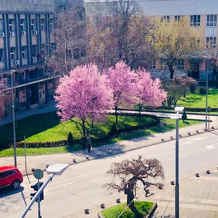 Bella Apartments Крушевац Екстериор снимка
