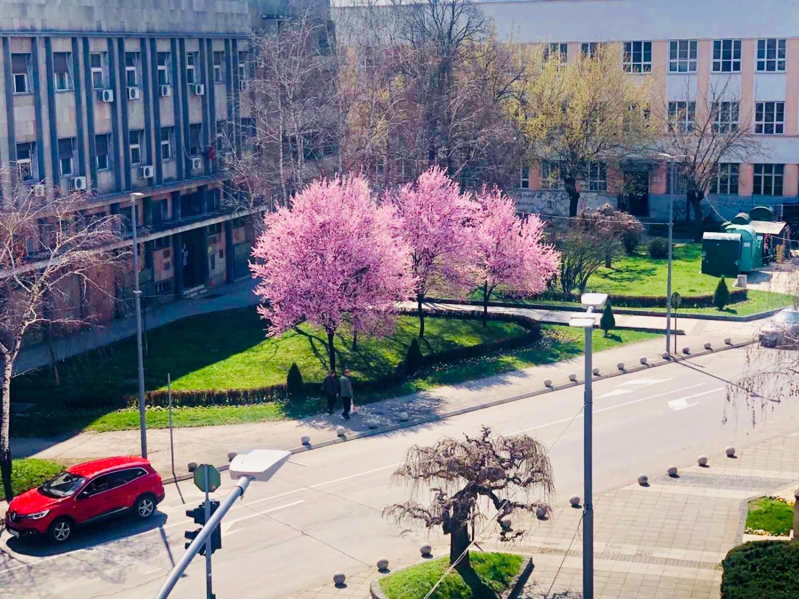 Bella Apartments Крушевац Екстериор снимка